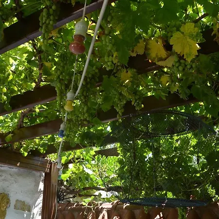 Avcihan Tas Ev アラカティ