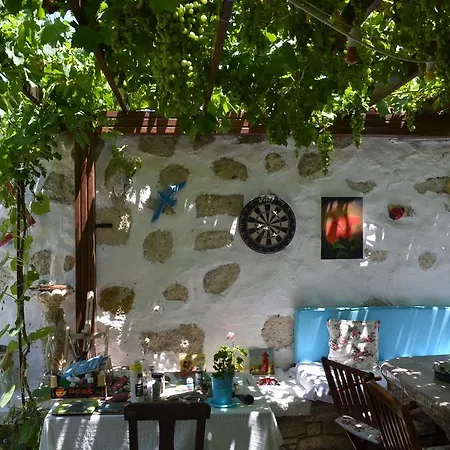 Avcihan Tas Ev Bed and Breakfast