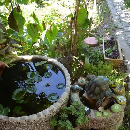 Avcihan Tas Ev ベッド・アンド・ブレックファスト 3*