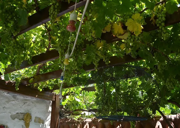 Avcihan Tas Ev Alaçatı