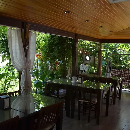 Avcihan Tas Ev 3* Alacati